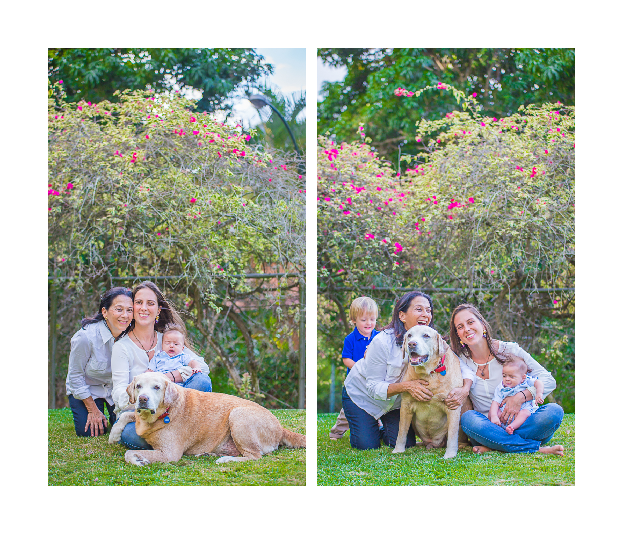 Familia Kovar Page 8