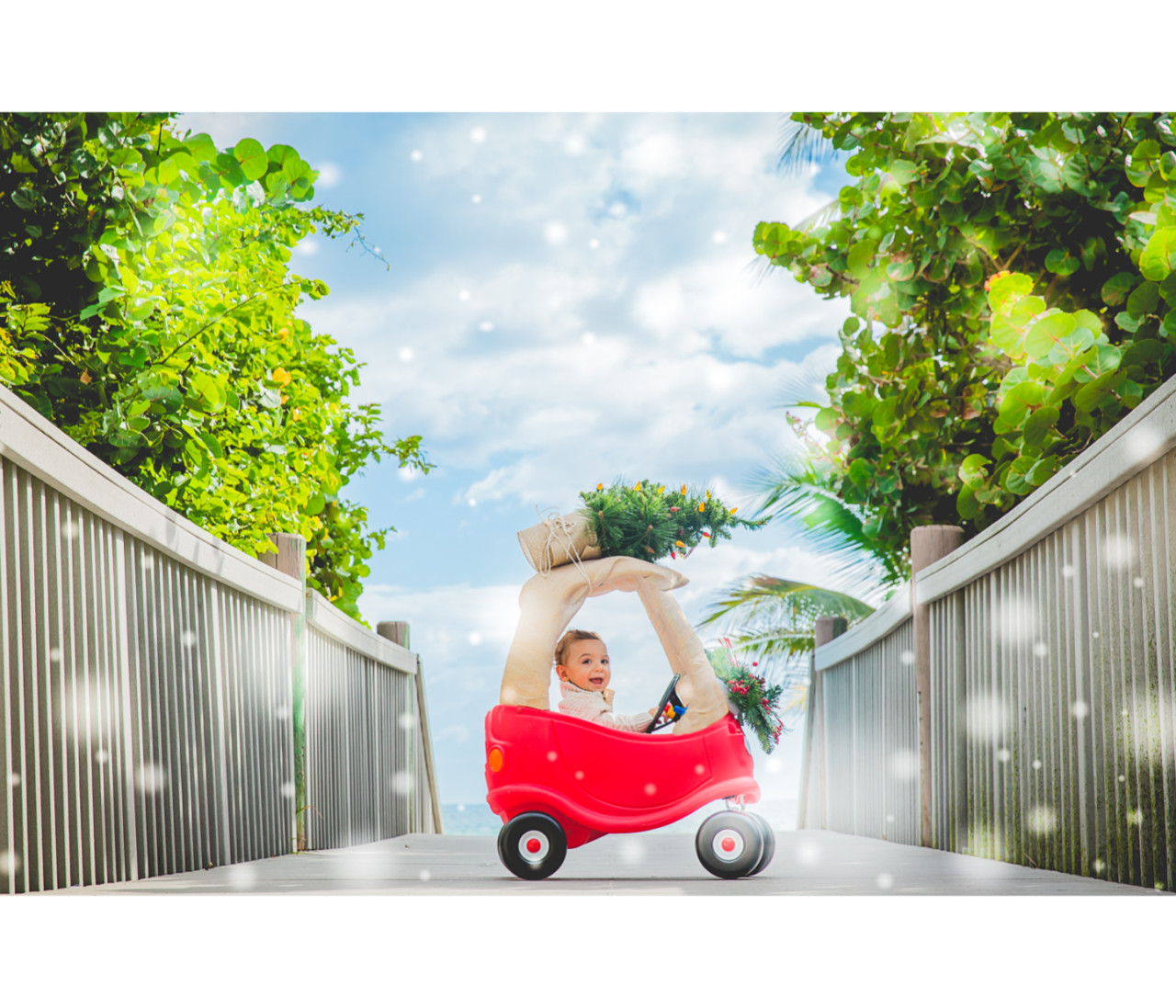 Marquez Cohen Family Page 7