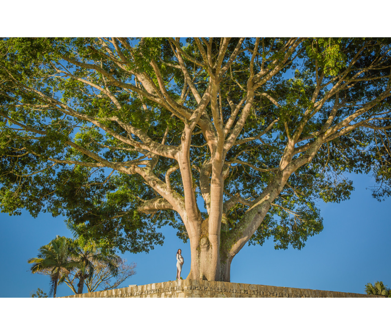 Waiting for Miguel Ignacio Page 8